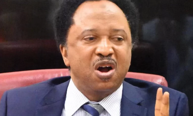 Dangote Refinery was expected to crash petrol price – Shehu Sani laments as fuel hits N1050 1