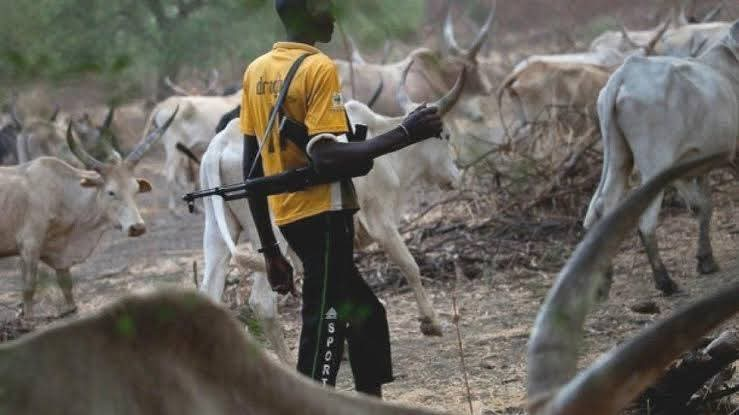 JUST IN:  US President Trump Issues Strong Warning to Nigeria Over Fulani Herdsmen Attacks In Nigeria against Igbo Christians